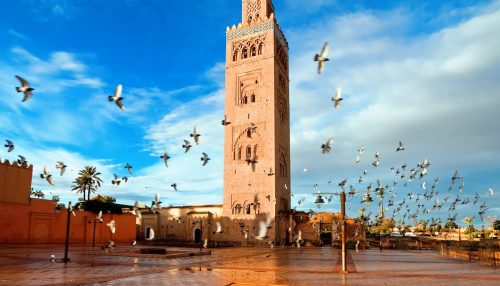 2020 Top 5 things to do in Marrakech