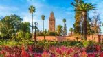 top 5 things to do in Marrakech